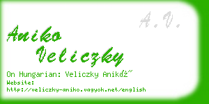 aniko veliczky business card